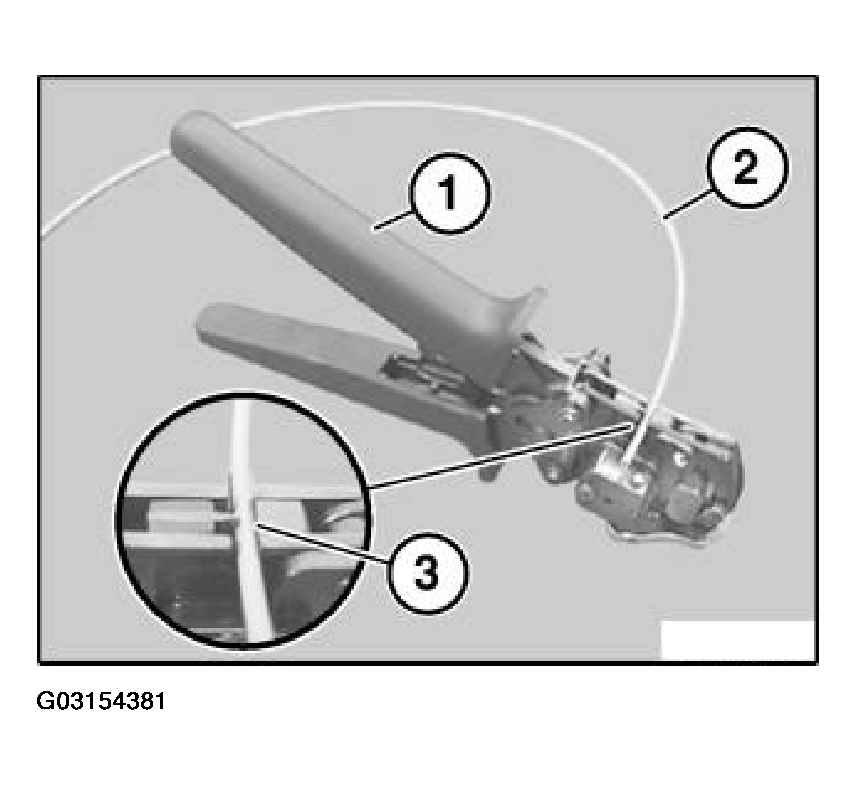 G03154381