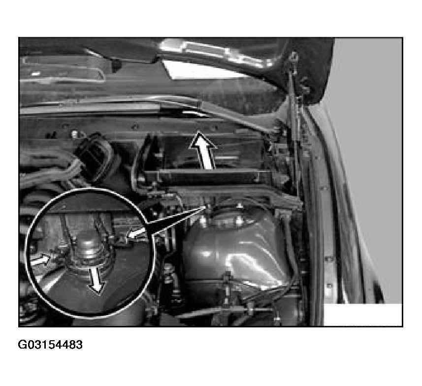 G03154483