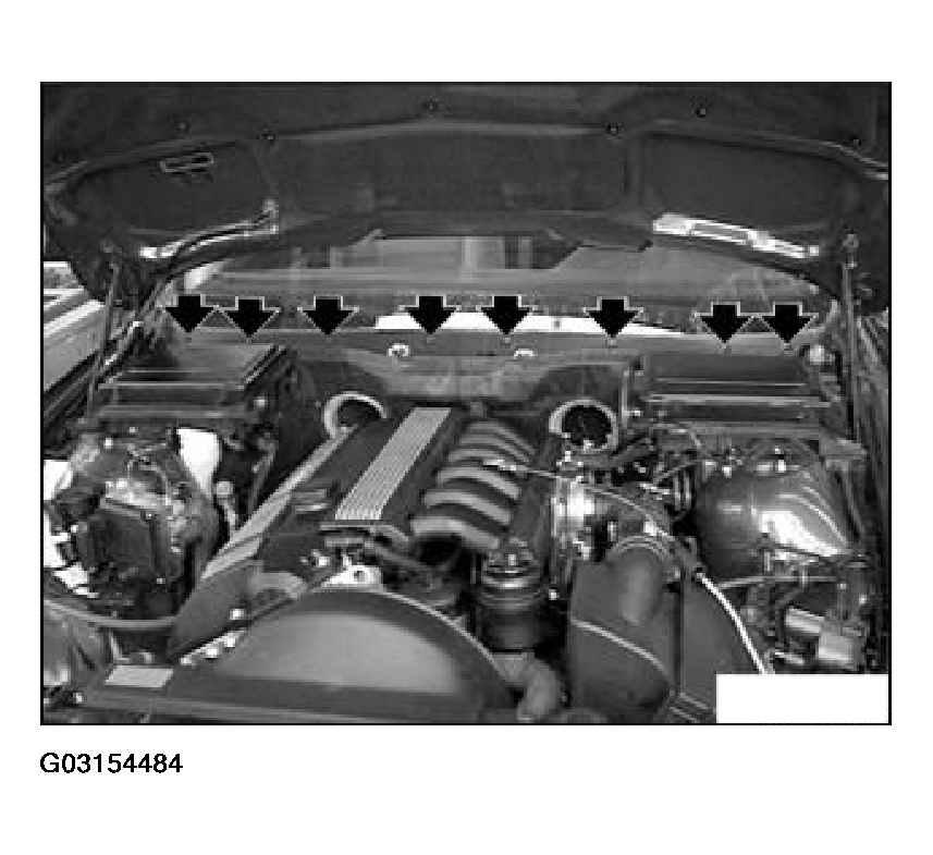 G03154484