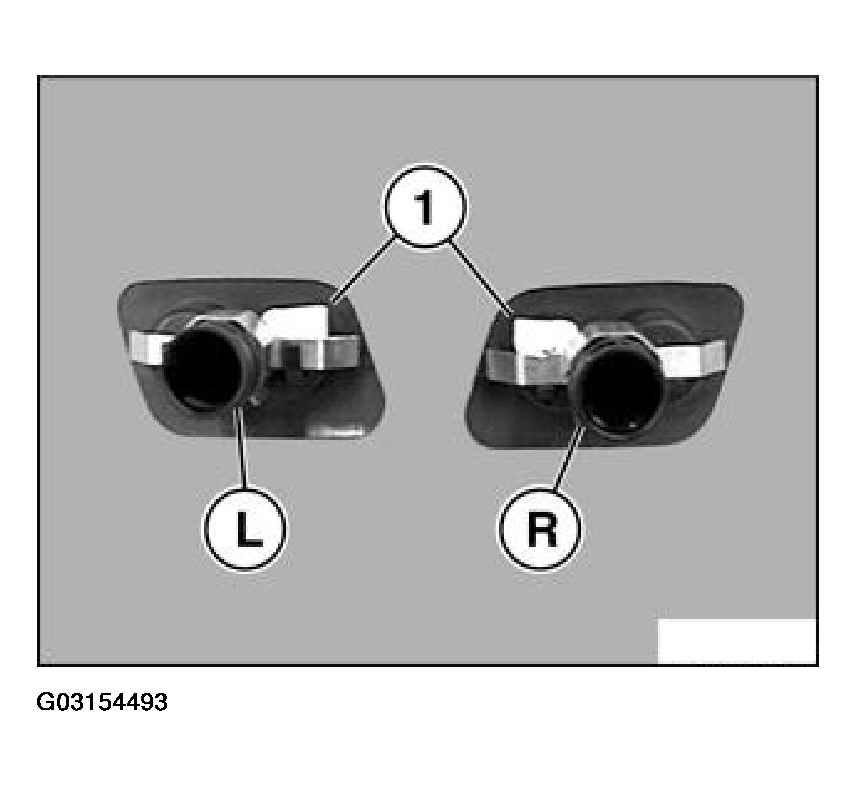 G03154493