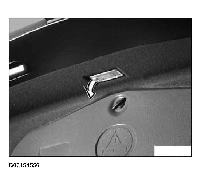 G03154556