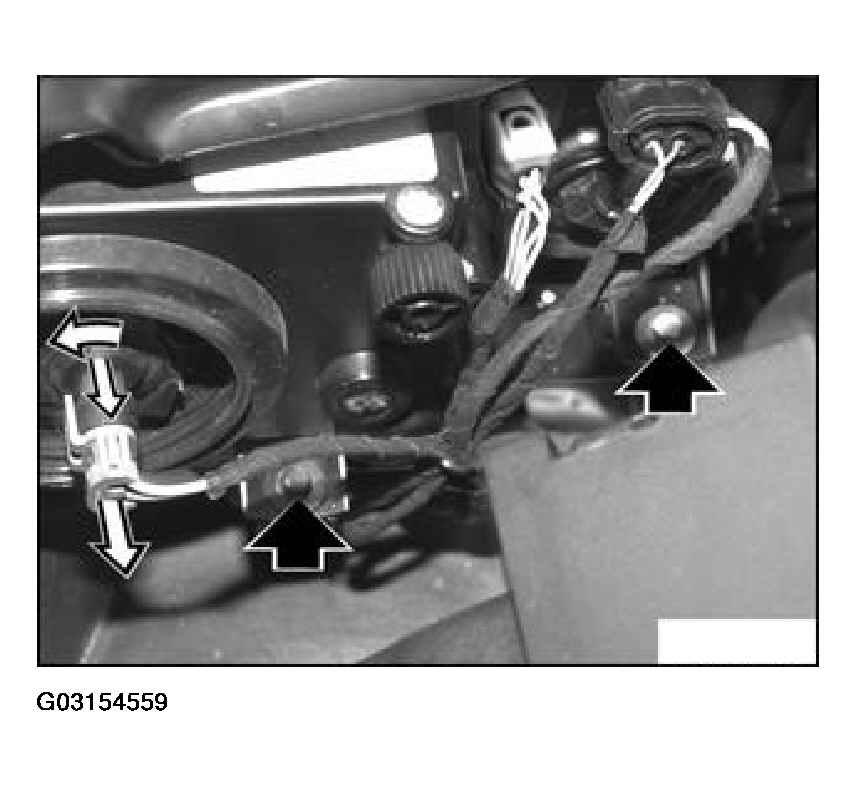 G03154559
