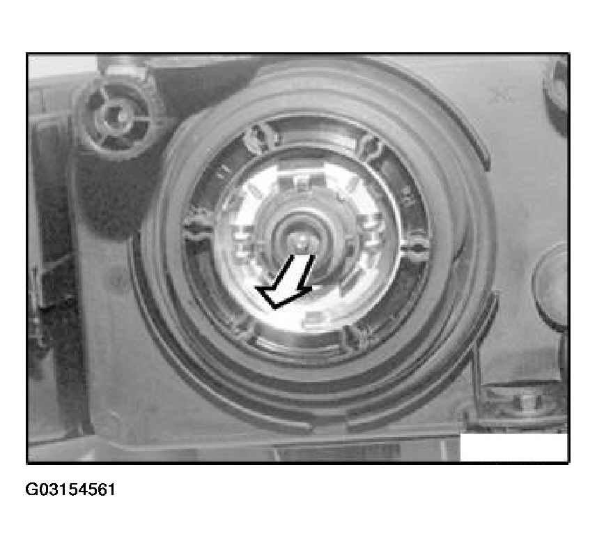 G03154561