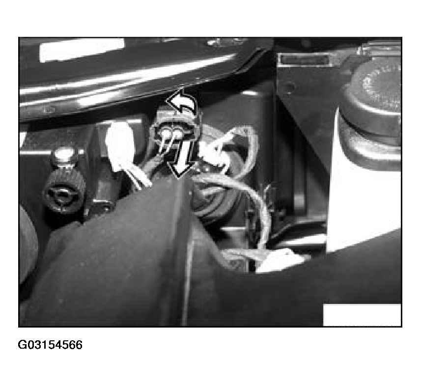 G03154566