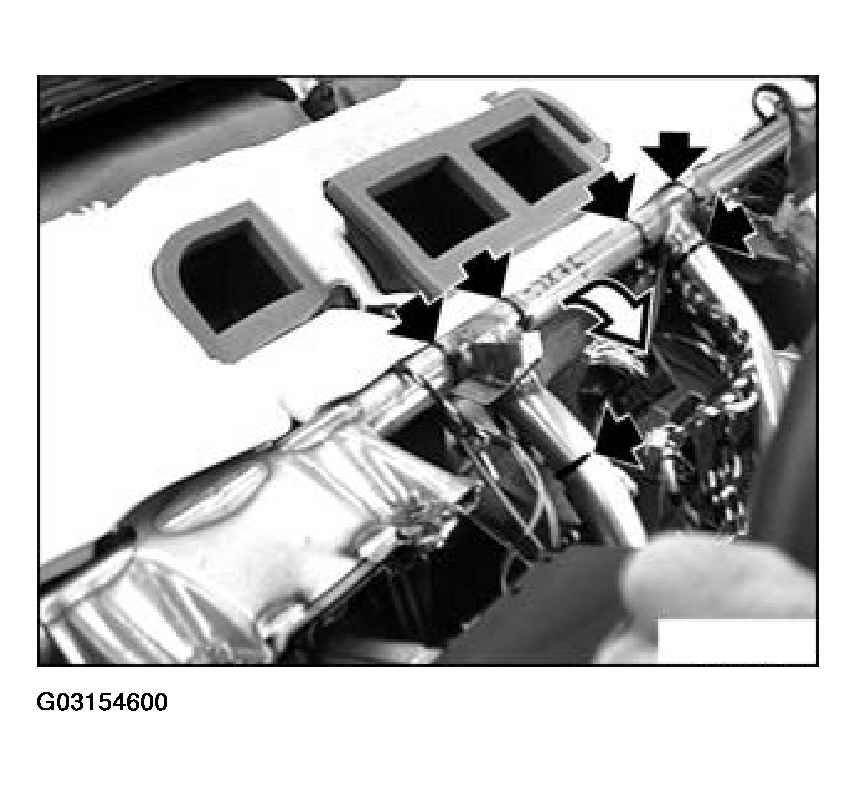 G03154600