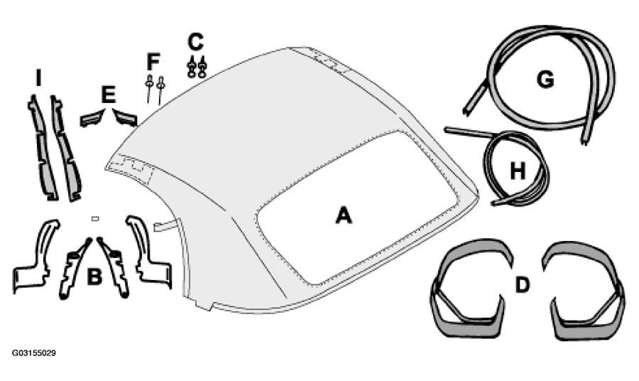 G03155029