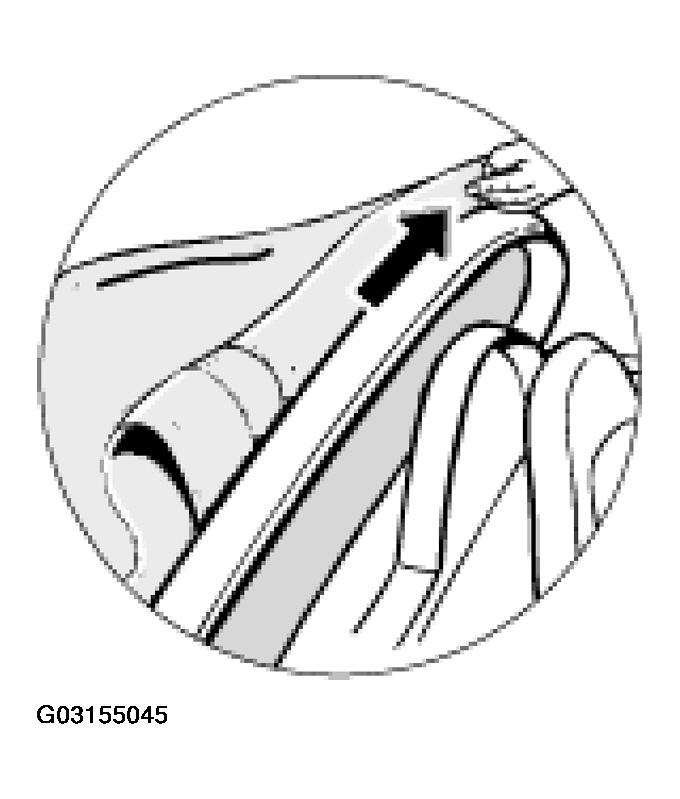 G03155045