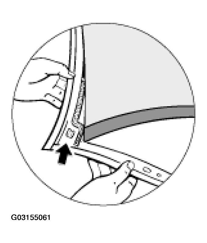 G03155061