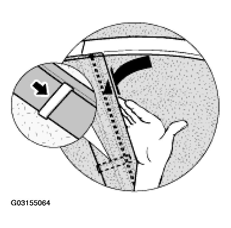 G03155064