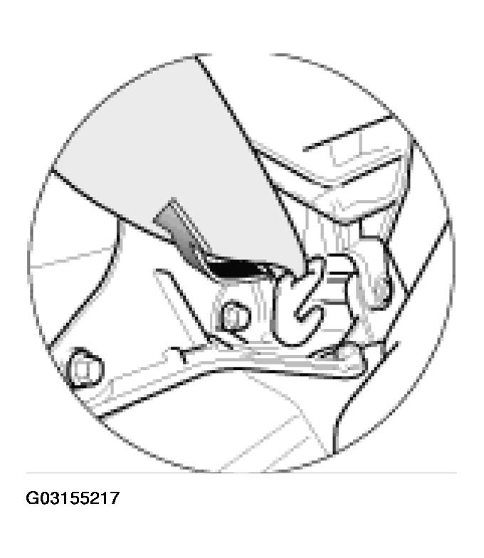G03155217