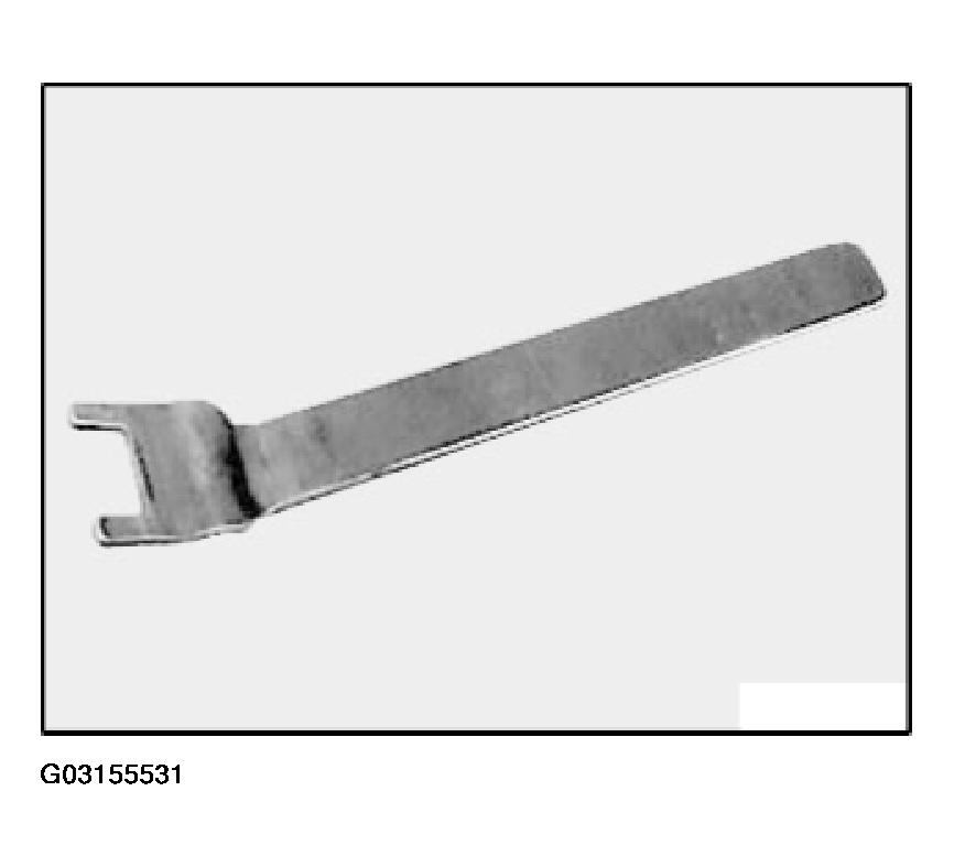 G03155531