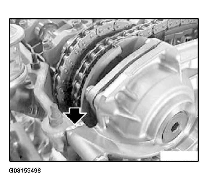 G03159496