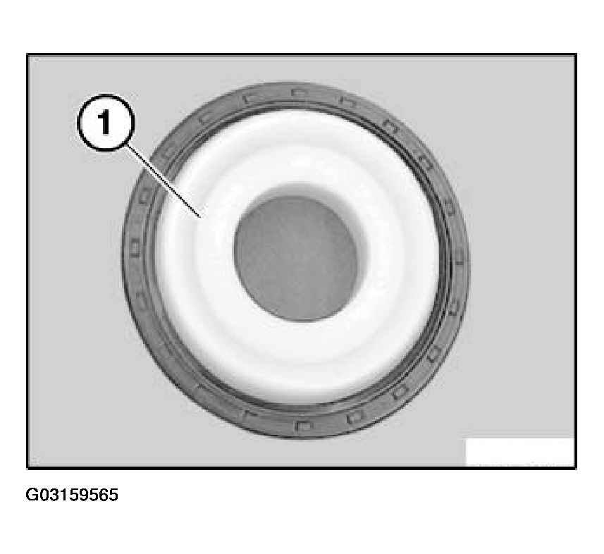 G03159565