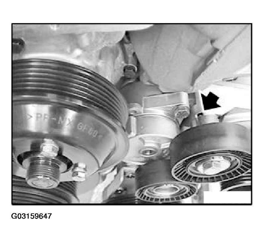 G03159647