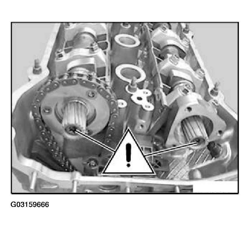G03159666