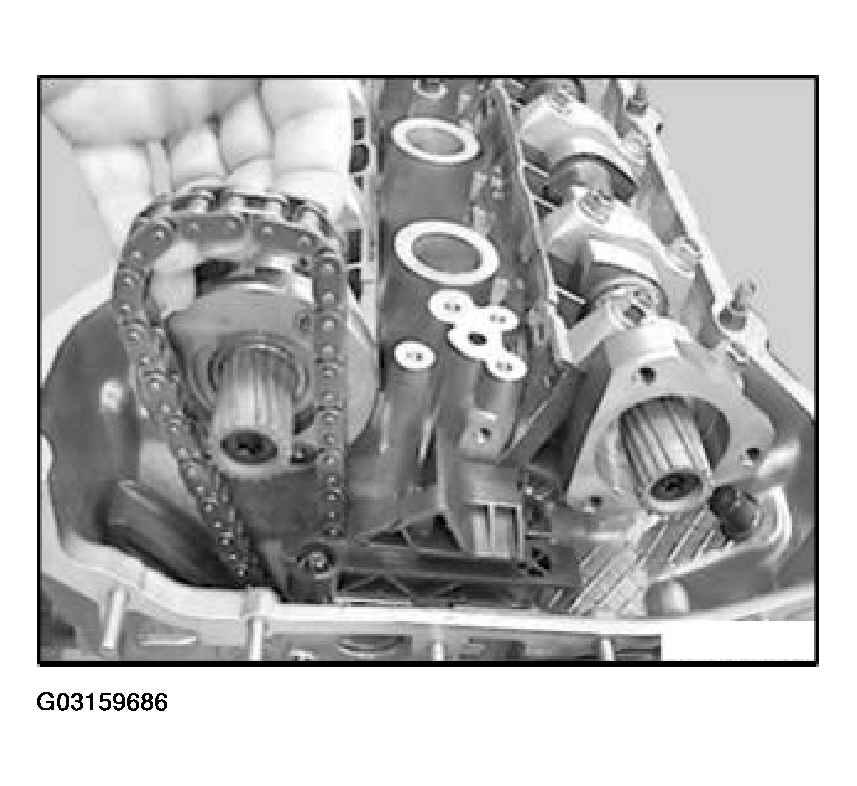 G03159686