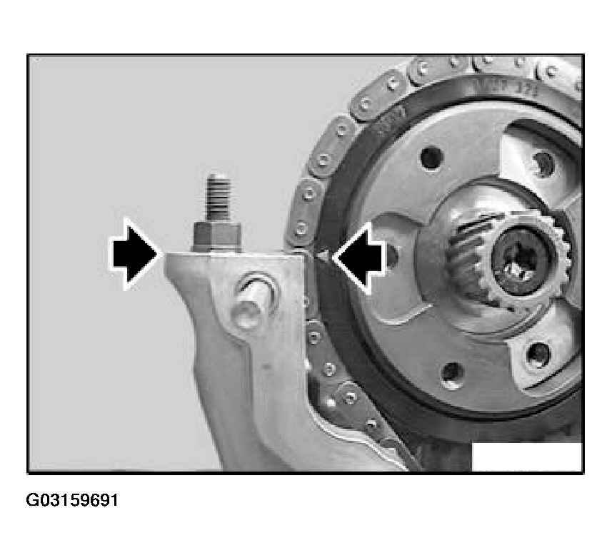 G03159691