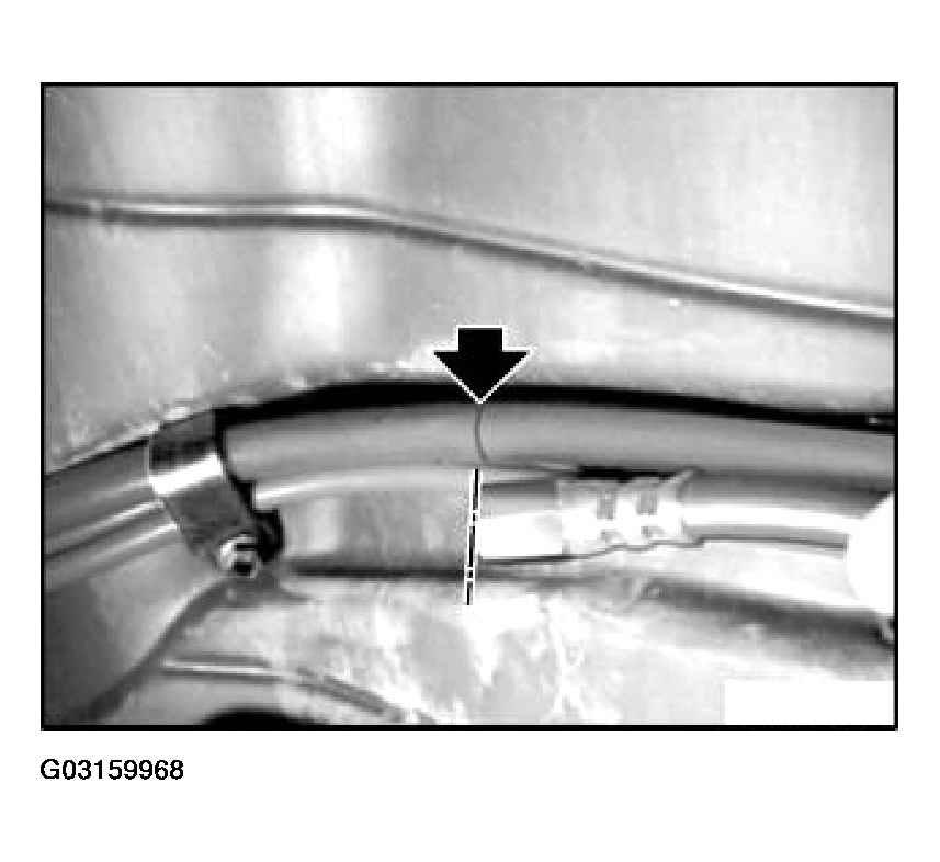 G03159968