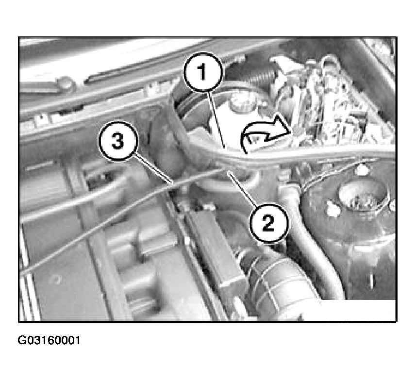 G03160001