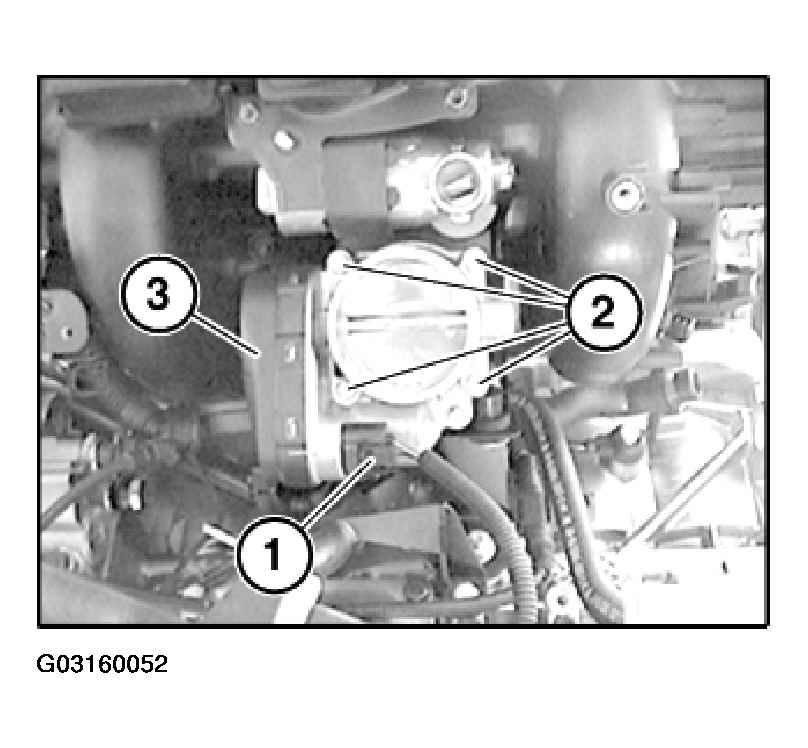 G03160052
