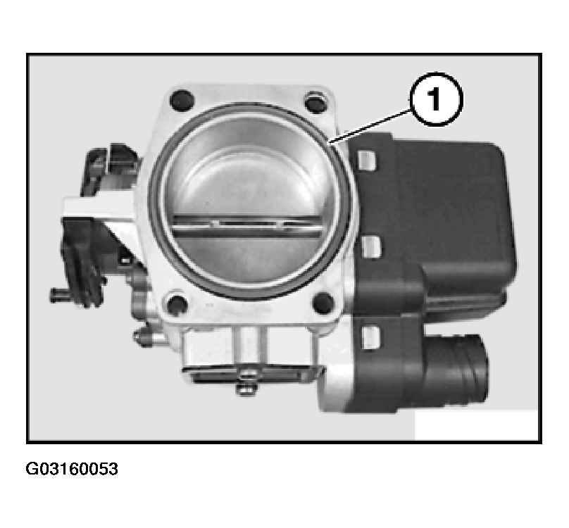 G03160053