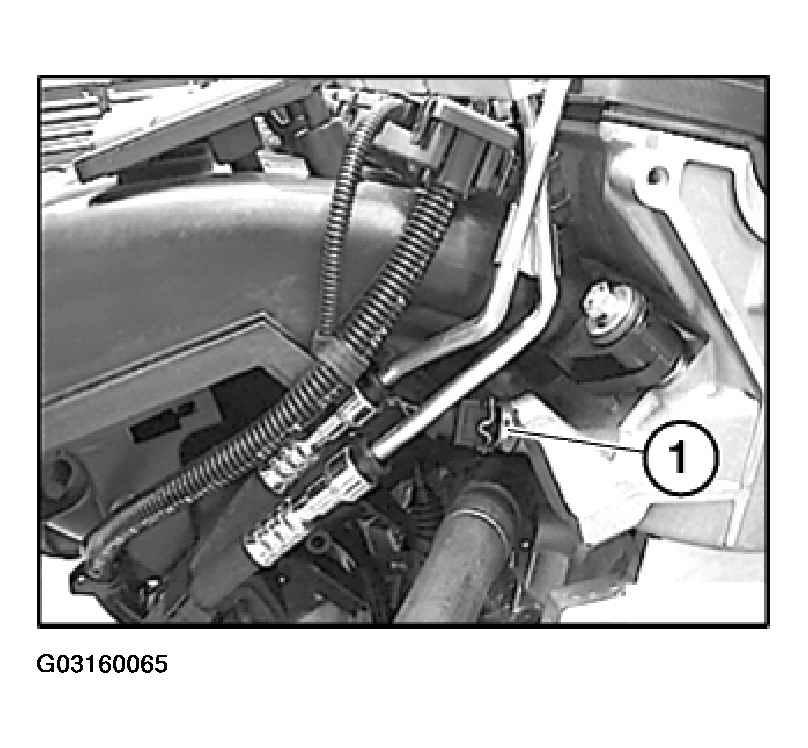 G03160065