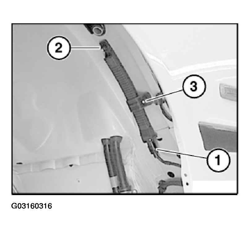 G03160316
