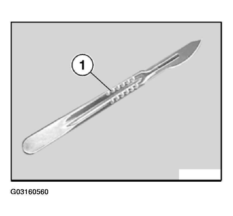 G03160560