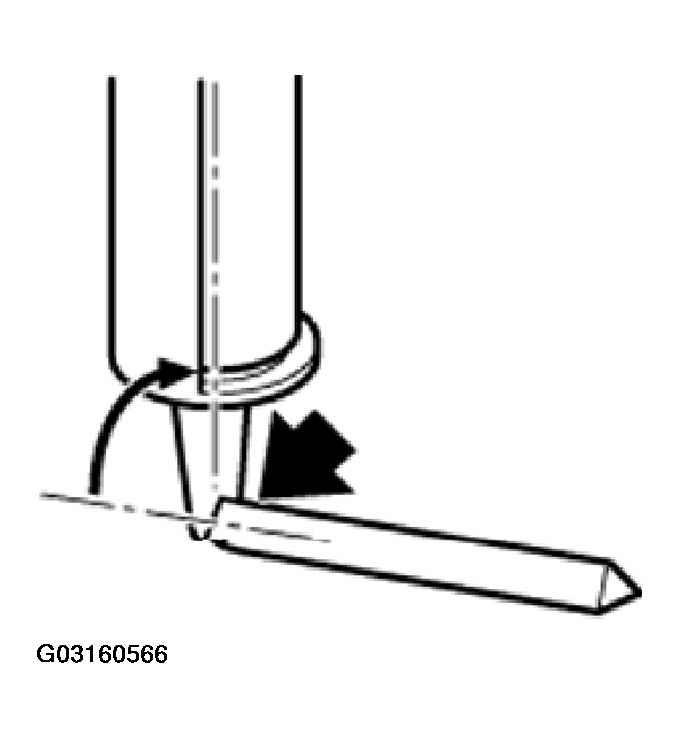 G03160566