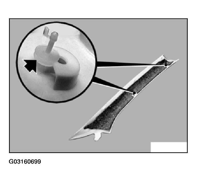 G03160699