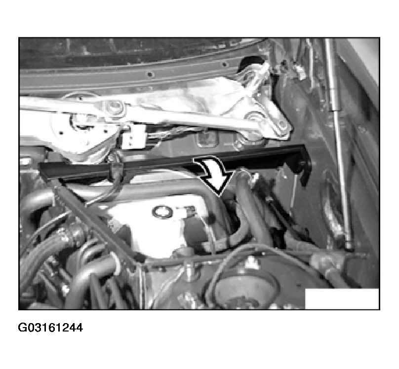 G03161244