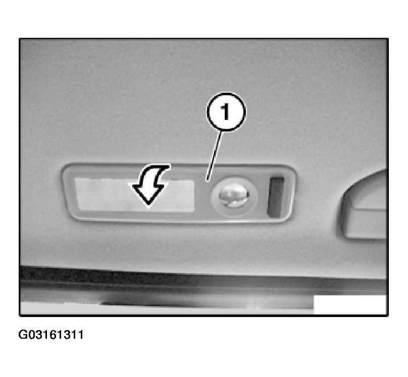 G03161311