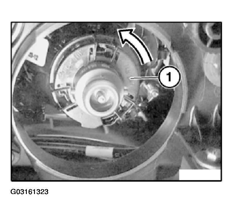 G03161323
