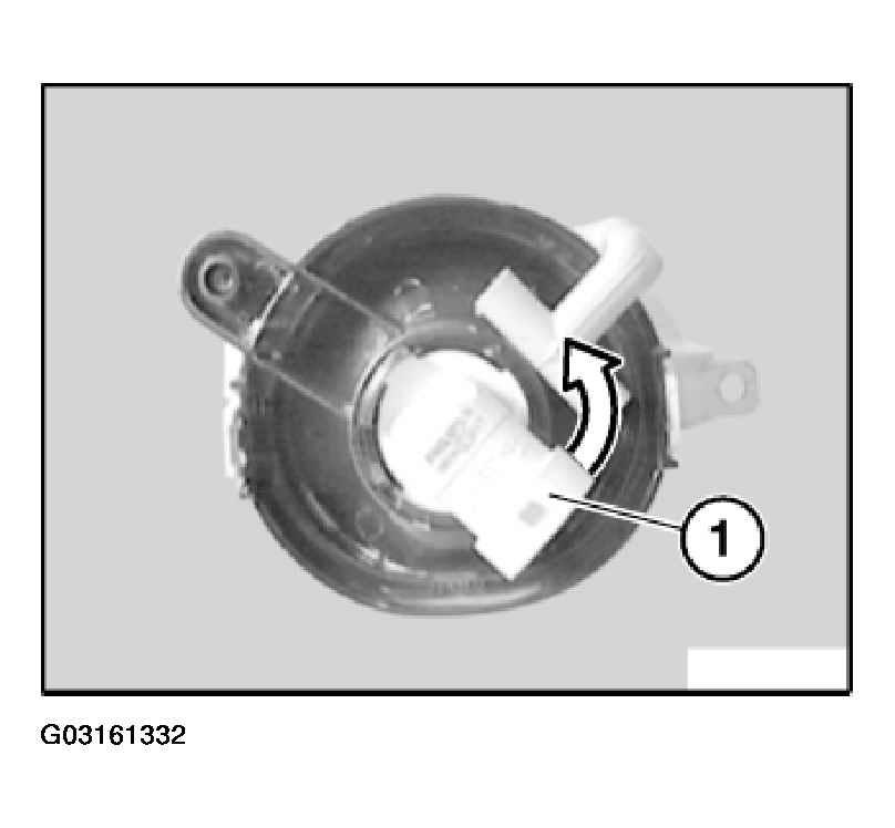 G03161332