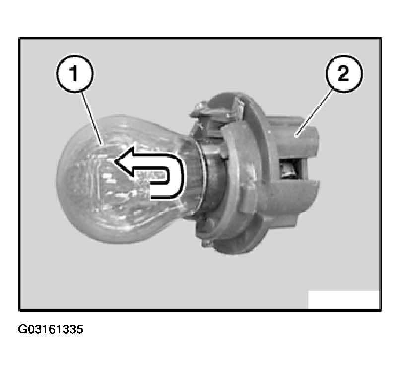 G03161335