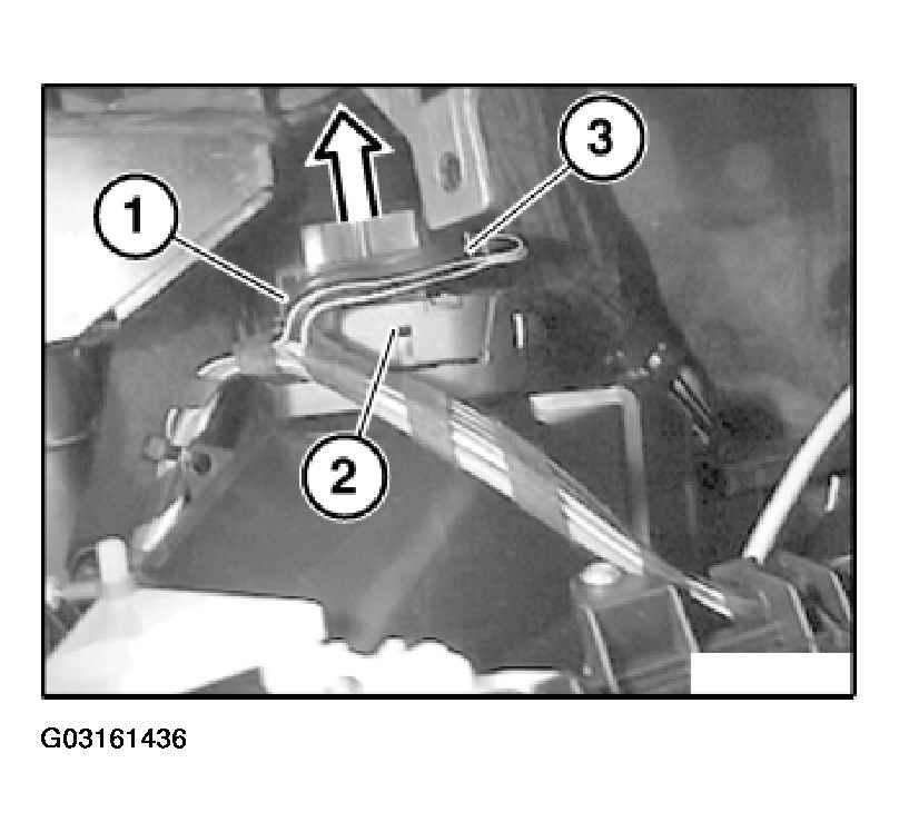 G03161436