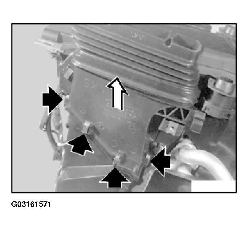 G03161571