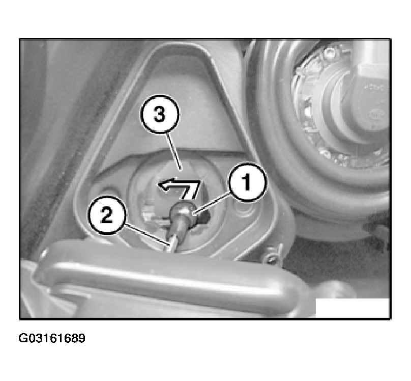 G03161689