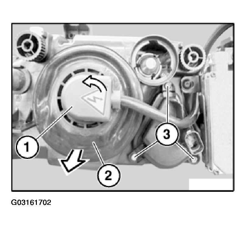 G03161702