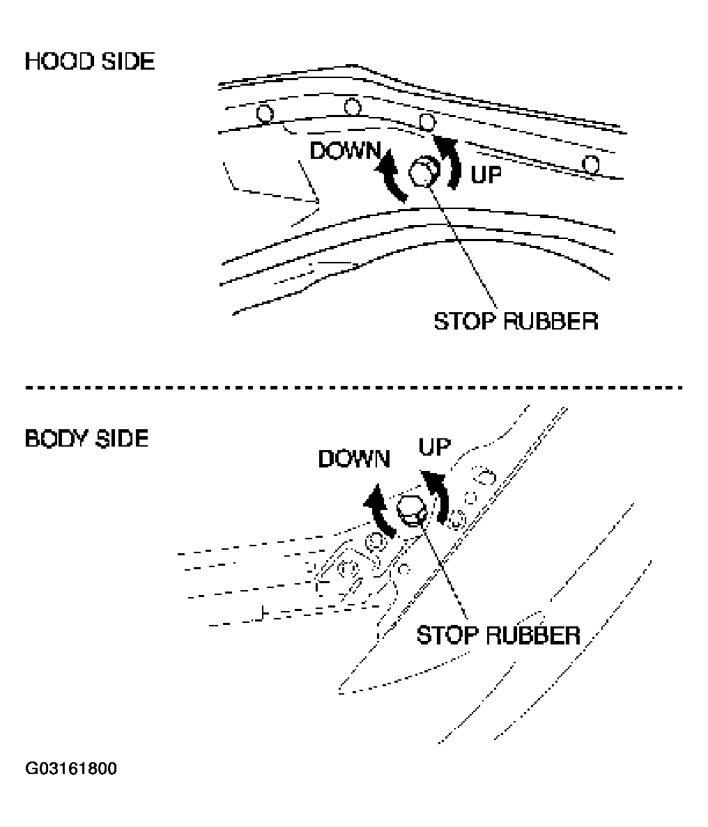 G03161800