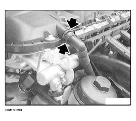 G03163893