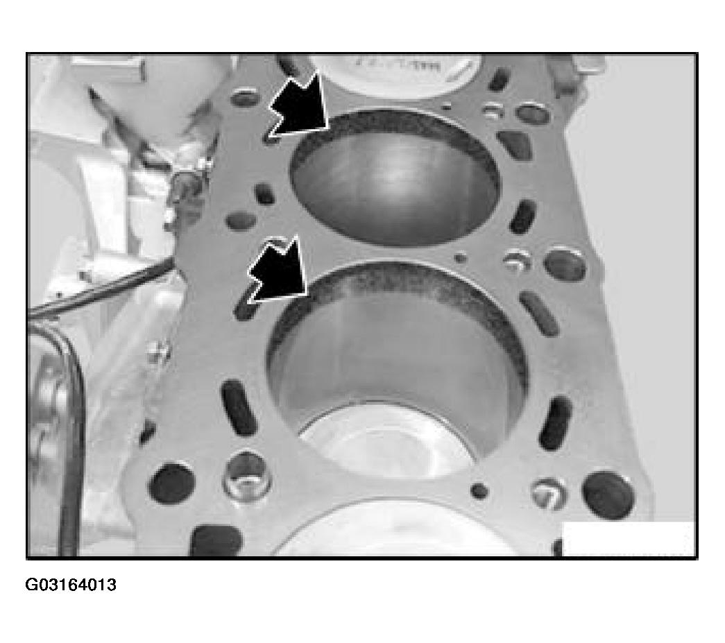 G03164013