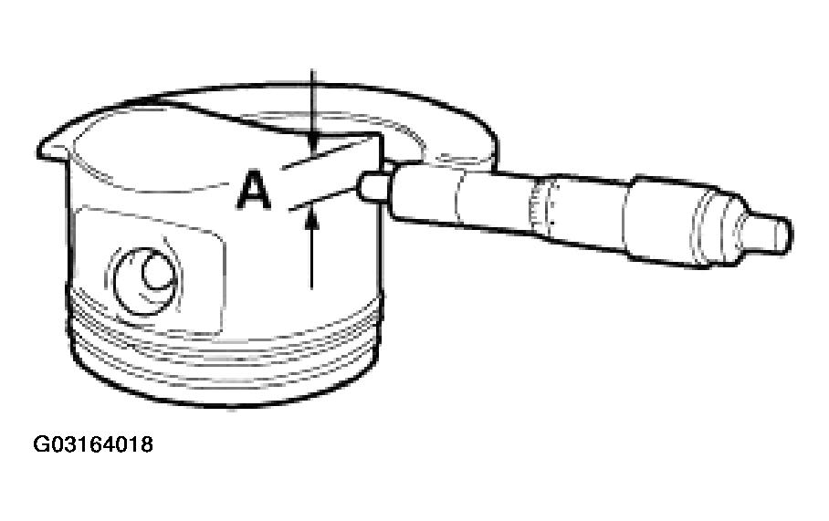 G03164018