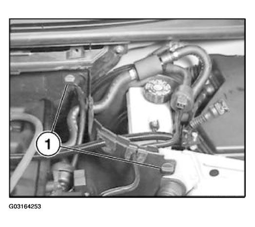 G03164253