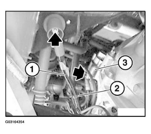 G03164354
