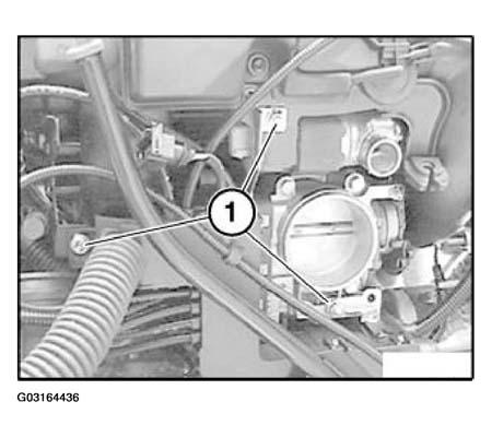 G03164436