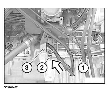 G03164437