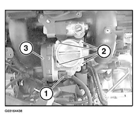 G03164438