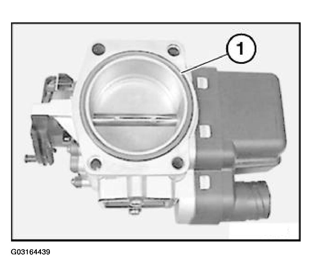 G03164439