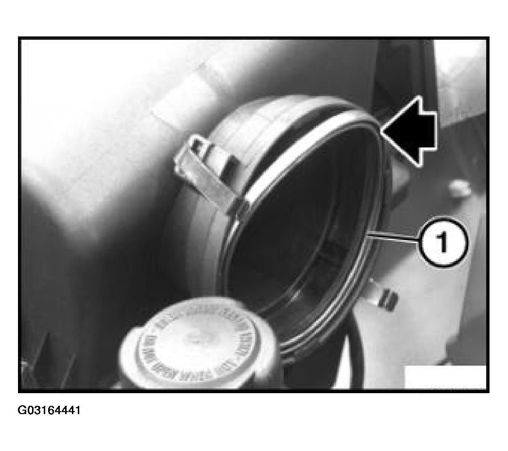 G03164441